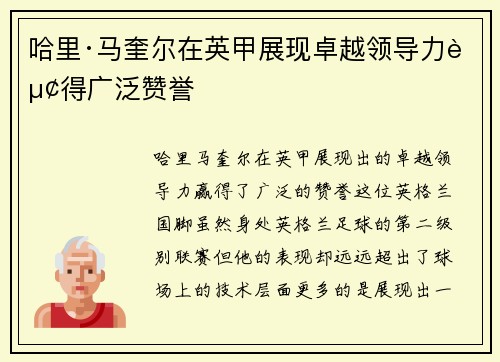 哈里·马奎尔在英甲展现卓越领导力赢得广泛赞誉